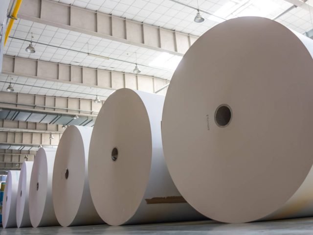 Duplex Paper Board